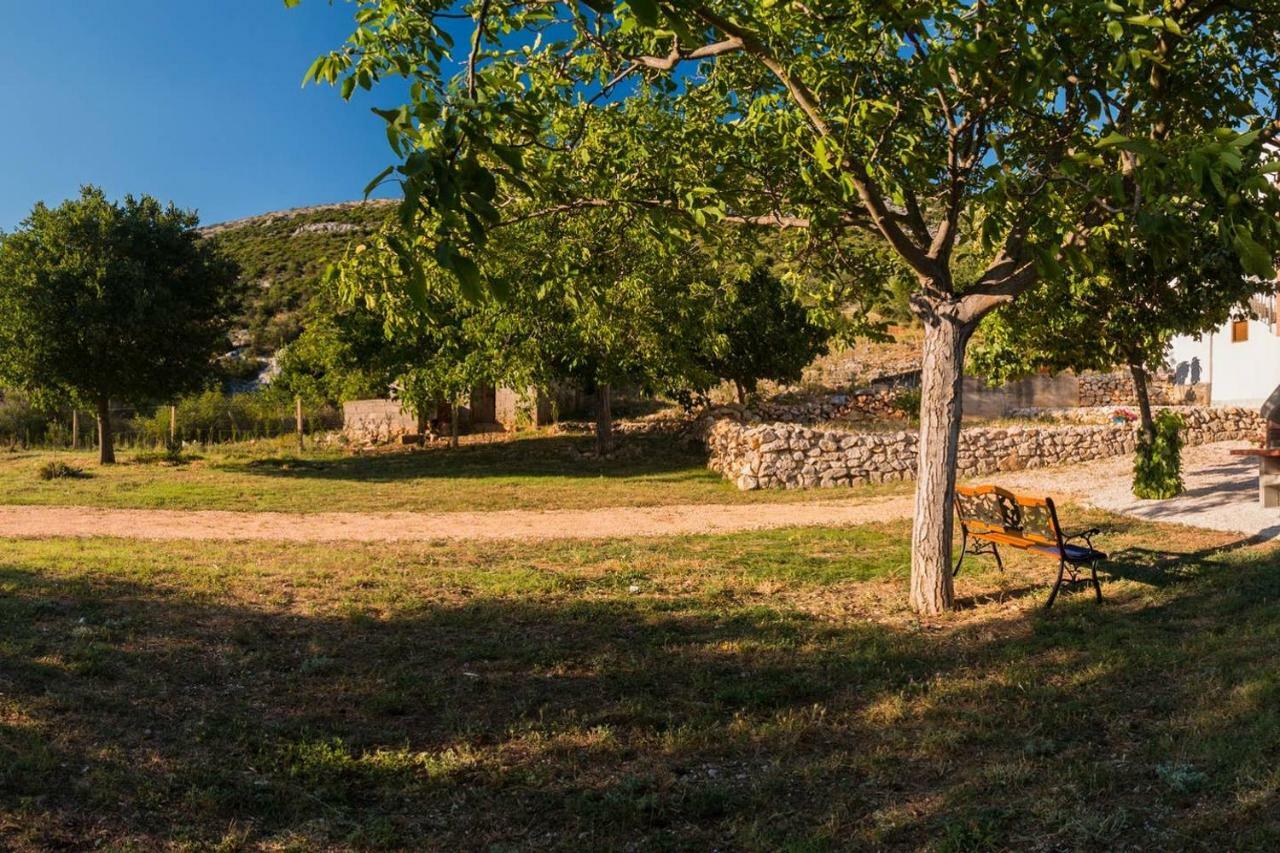 Kuca Za Odmor Lucija Lägenhet Vrana  Exteriör bild